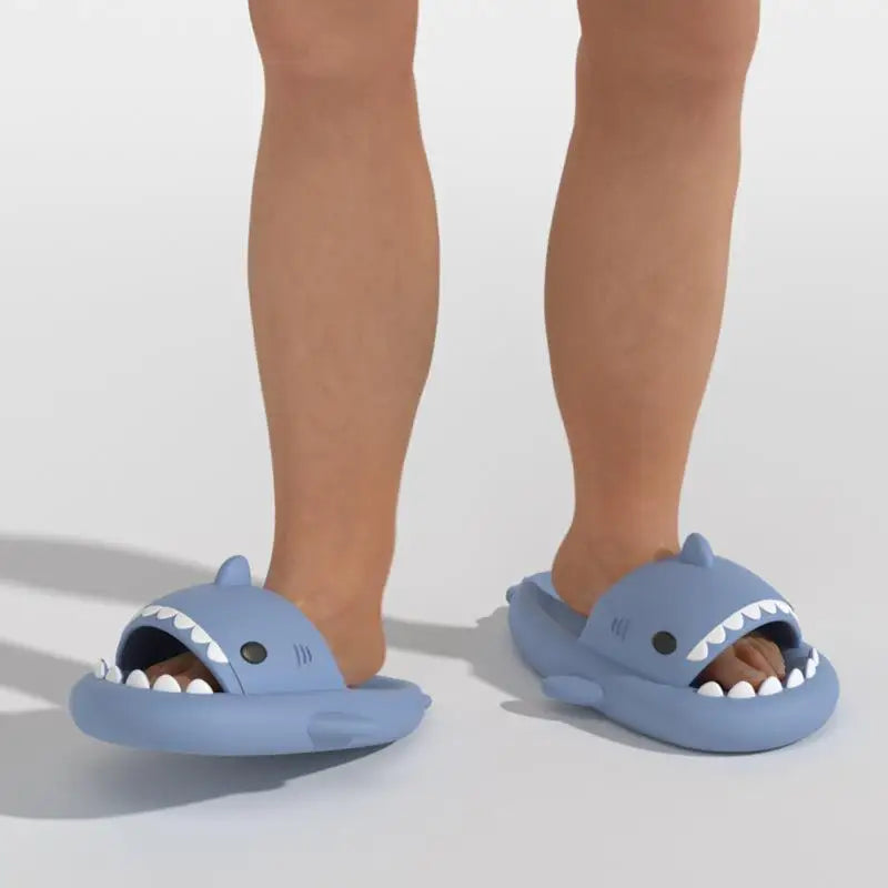 Shark Slippers